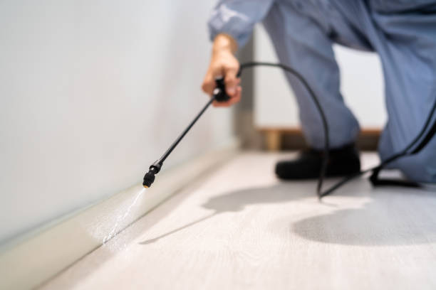 Licensed Cockroach Control service in Rawls Springs, MS - Nex Pest Control