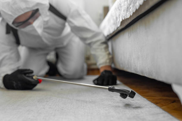 Professional Cockroach Control technician working in Rawls Springs, MS