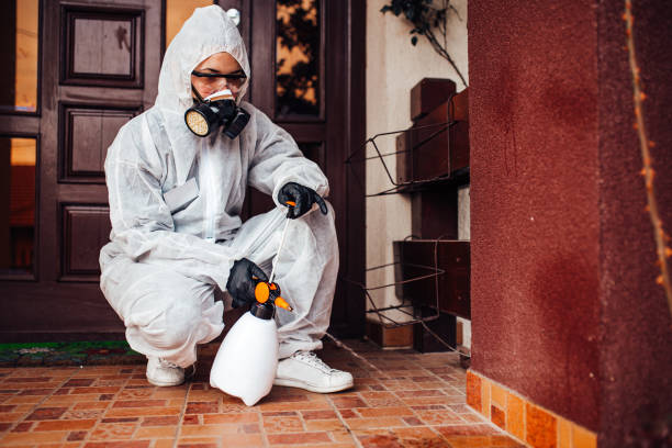 Reliable Cockroach Control contractor in Rawls Springs, MS by Nex Pest Control